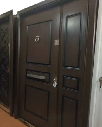 Eco Special Solid Security Door